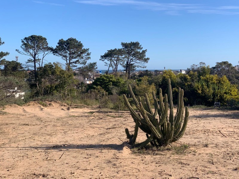 Lote en venta en La Barra